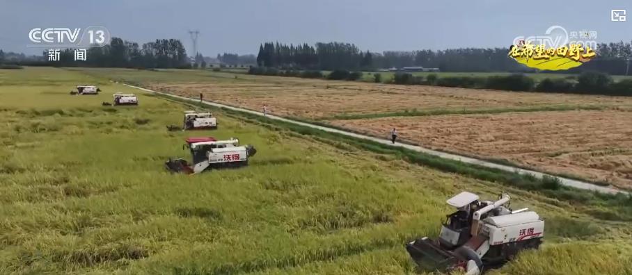 全国秋粮收获进展良好 多举措保障颗粒归仓