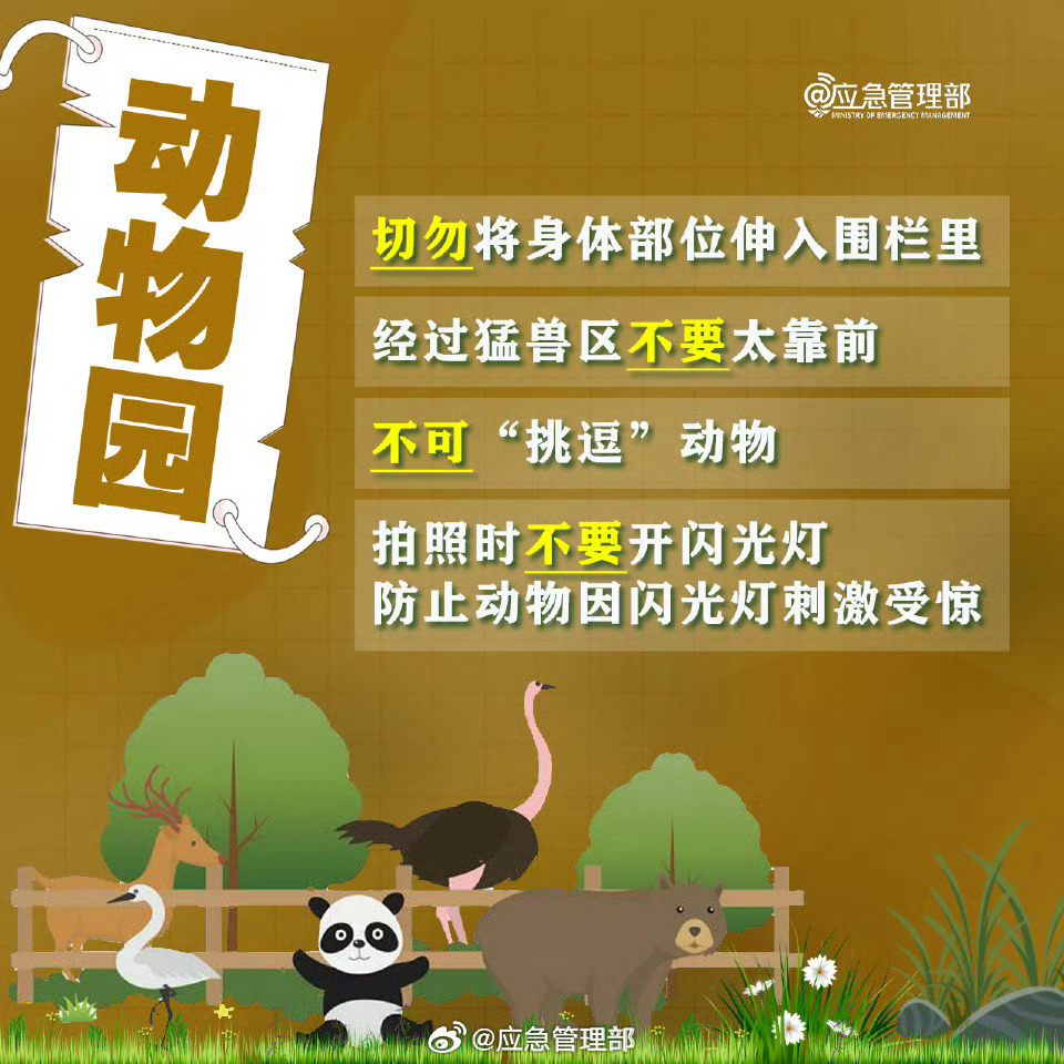 景区打卡，这些攻略你得“码”住！