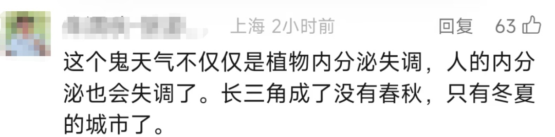上海今夏已长达150天！气温再度反扑，植物集体“摆烂”…桂花：礼貌吗？