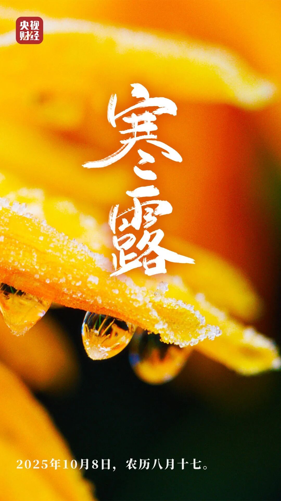 第一个带“寒”的节气来了!这“四不五要”,很重要→ 第一个带“寒”的节气来了!这“四不五要”,很重要→