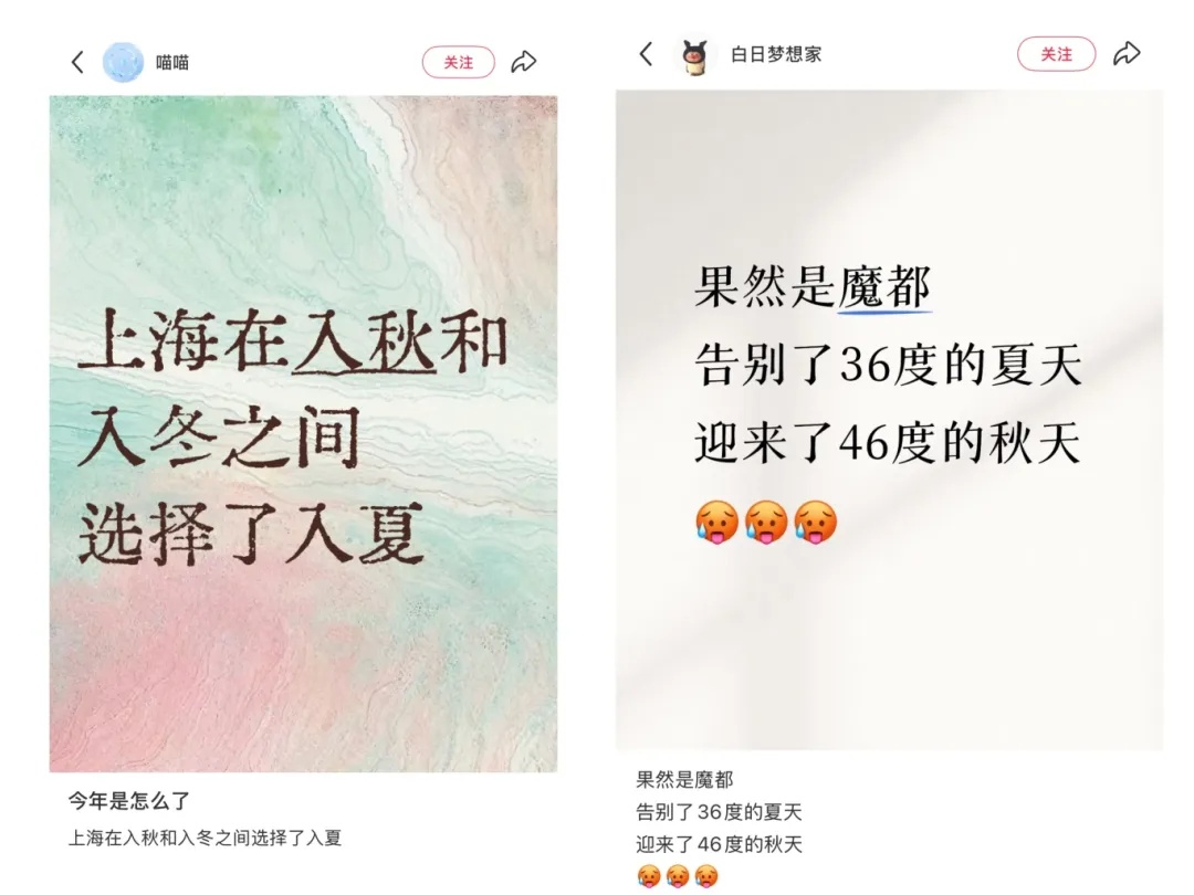 寒露要防暑？上海气温即将反扑！植物开始反季开花