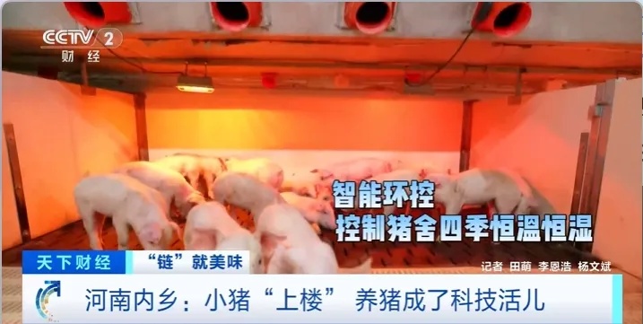 飙升300%！河南名吃，一天狂卖超千份→