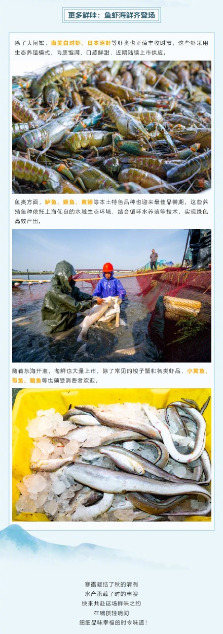 寒露时节,什么美味不能辜负? 寒露时节,什么美味不能辜负?