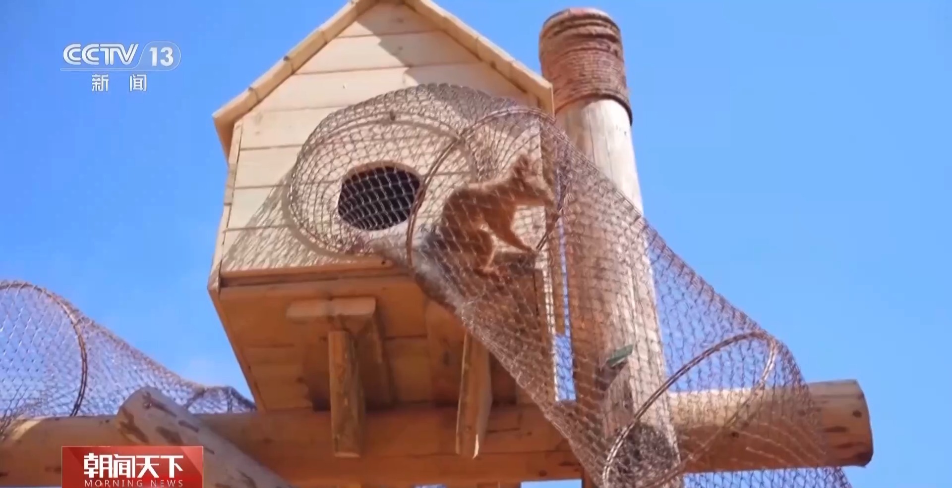 光伏步道、3D打印稻草人……田间地头“未来感”拉满 光伏步道、3D打印稻草人……田间地头“未来感”拉满