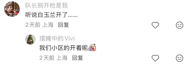 寒露要防暑？上海气温即将反扑！植物开始反季开花