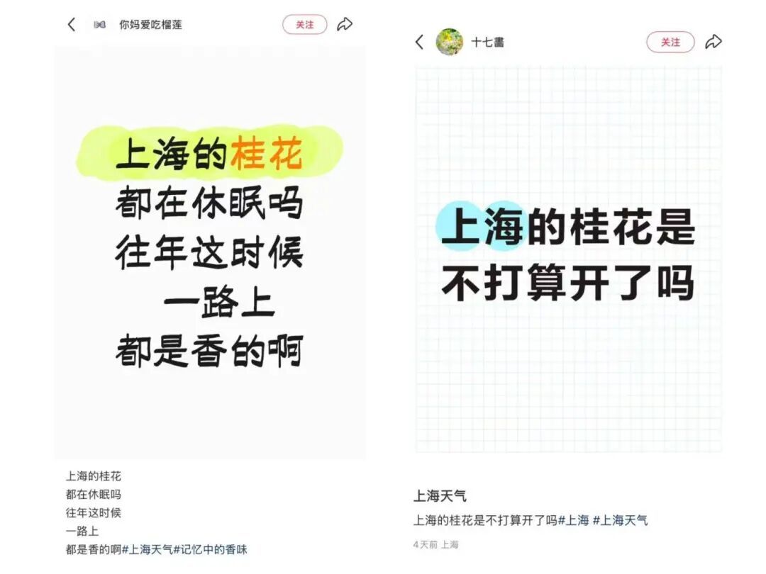 上海：节后气温将冲高至33℃！今夏已长达150天，玉兰蔷薇樱花荷花全开了……