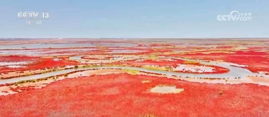露染山河秋意浓，一幅长卷带你看浓墨重彩的秋日美景