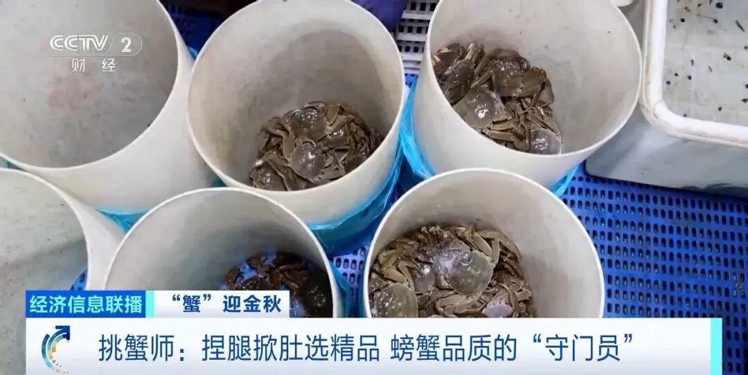 月入2万元!这个岗位太缺人,网友:我现在速成 月入2万元!这个岗位太缺人,网友:我现在速成