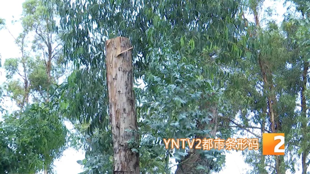 户外徒步、露营必看!防雷击保命指南,这些坑千万别踩! 户外徒步、露营必看!防雷击保命指南,这些坑千万别踩!