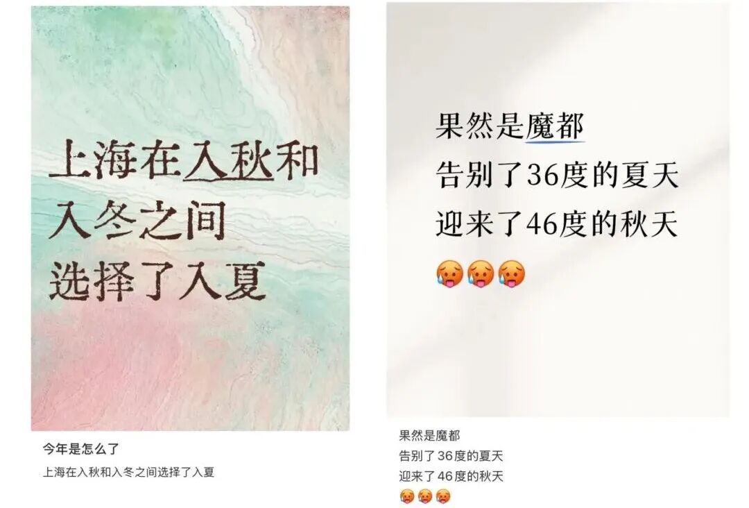 上海今夏已长达150天！气温再度反扑，植物集体“摆烂”…桂花：礼貌吗？
