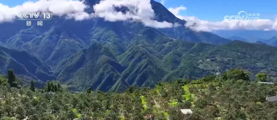 露染山河秋意浓，一幅长卷带你看浓墨重彩的秋日美景