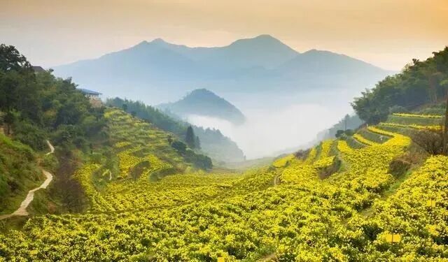 寒露至，秋意浓：今天起，要做这些事→