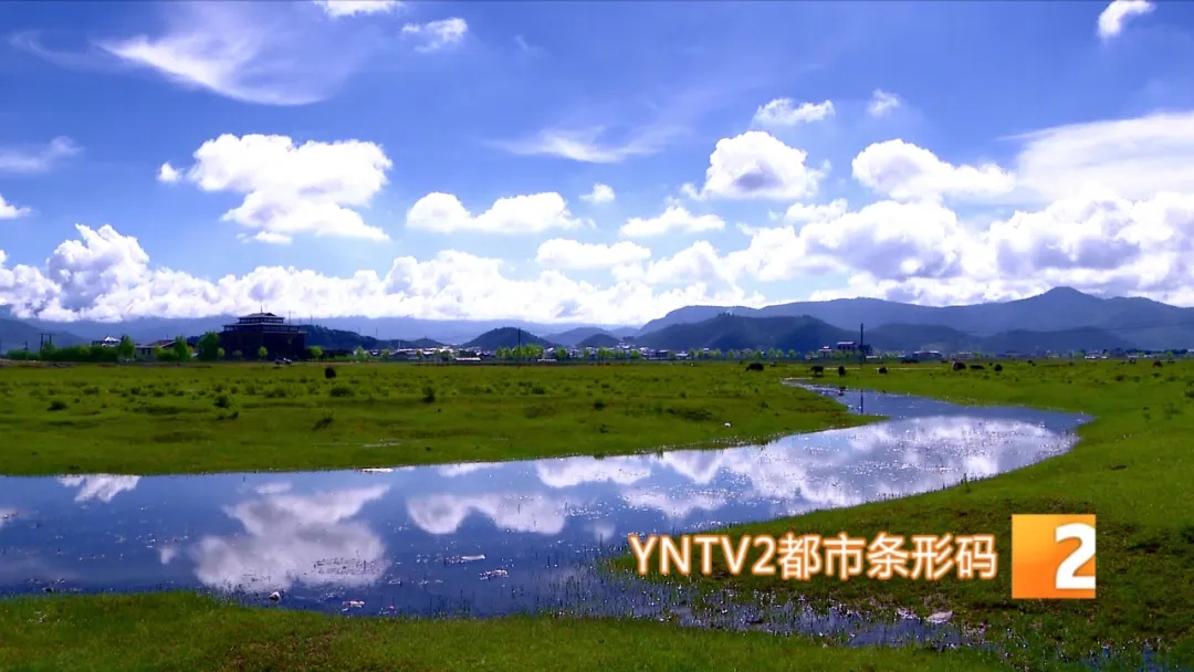 户外徒步、露营必看!防雷击保命指南,这些坑千万别踩! 户外徒步、露营必看!防雷击保命指南,这些坑千万别踩!