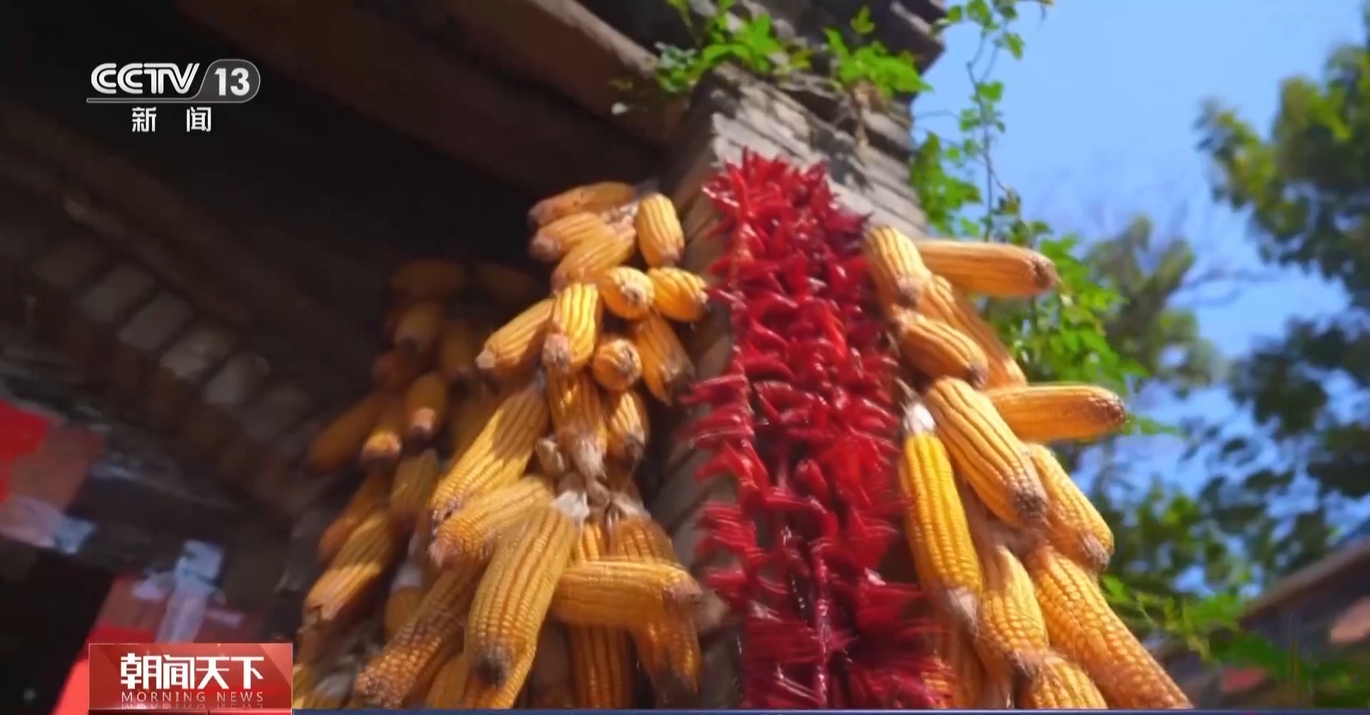 光伏步道、3D打印稻草人……田间地头“未来感”拉满 光伏步道、3D打印稻草人……田间地头“未来感”拉满