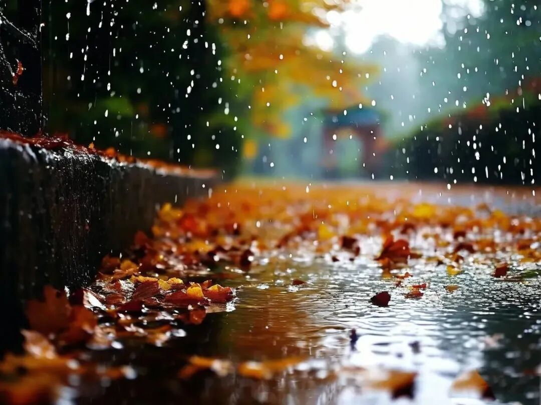 冷！冷！冷！北京这场秋雨啥时候停？