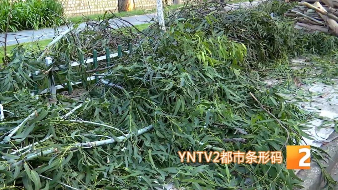 户外徒步、露营必看!防雷击保命指南,这些坑千万别踩! 户外徒步、露营必看!防雷击保命指南,这些坑千万别踩!
