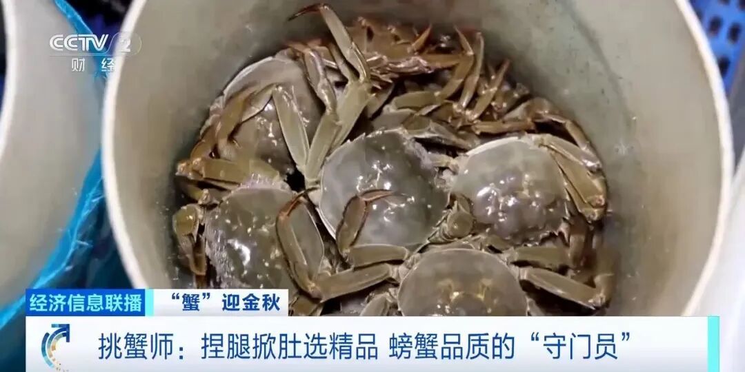 月入2万元!这个岗位太缺人,网友:我现在速成 月入2万元!这个岗位太缺人,网友:我现在速成