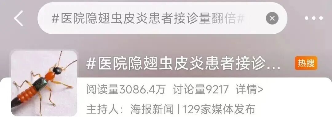 近期正活跃，遇到千万不要拍打！