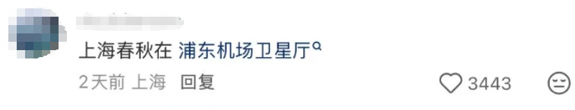 上海今夏已长达150天！气温再度反扑，植物集体“摆烂”…桂花：礼貌吗？