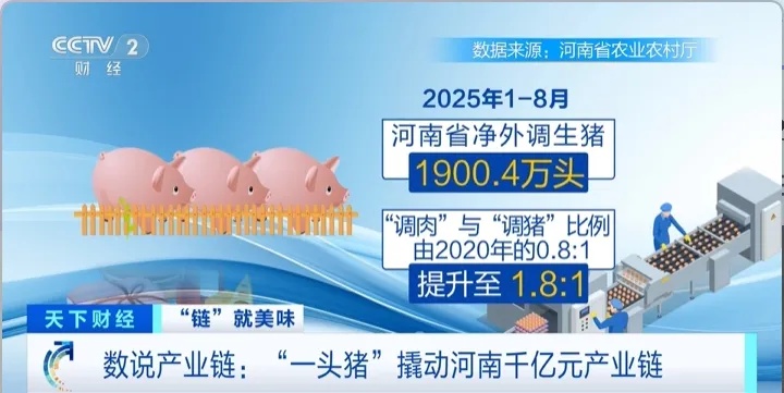 飙升300%！河南名吃，一天狂卖超千份→