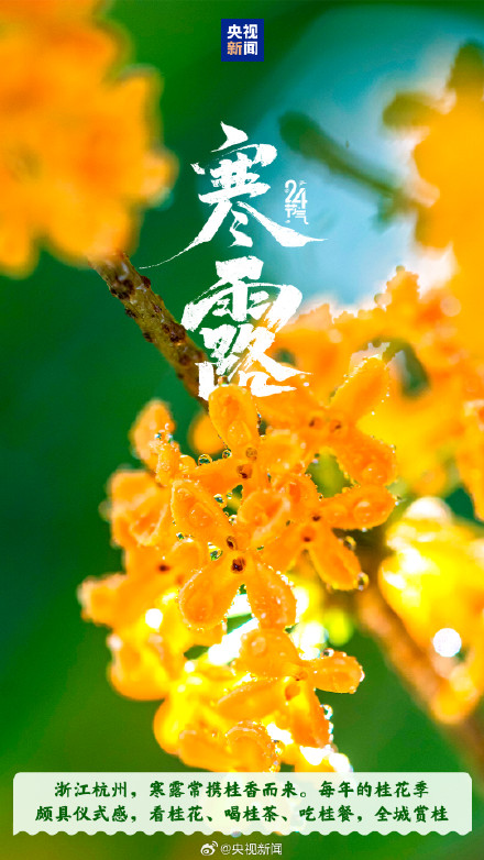 带寒字的节气来了