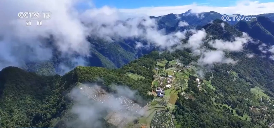 露染山河秋意浓，一幅长卷带你看浓墨重彩的秋日美景