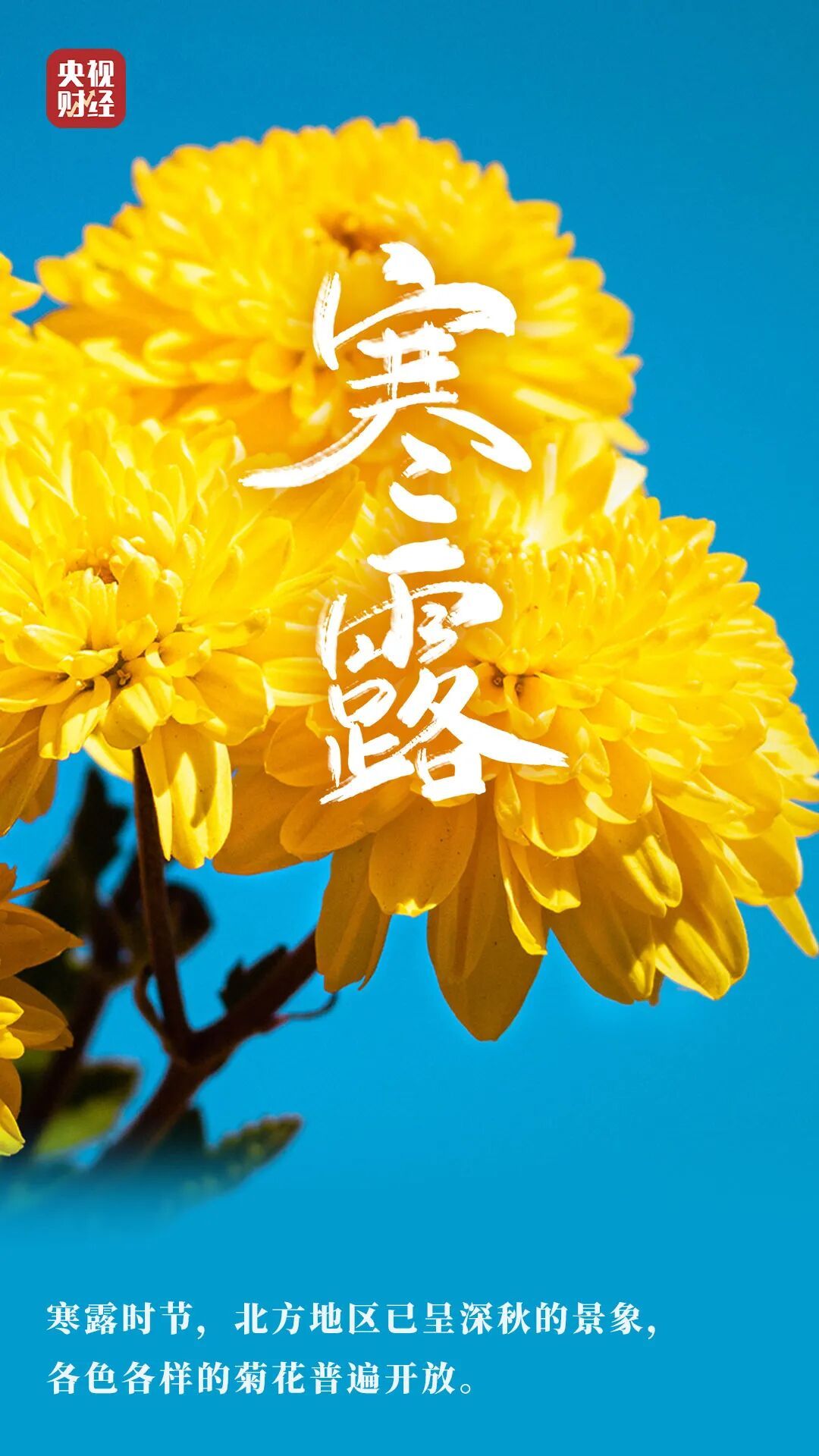 第一个带“寒”的节气来了!这“四不五要”,很重要→ 第一个带“寒”的节气来了!这“四不五要”,很重要→