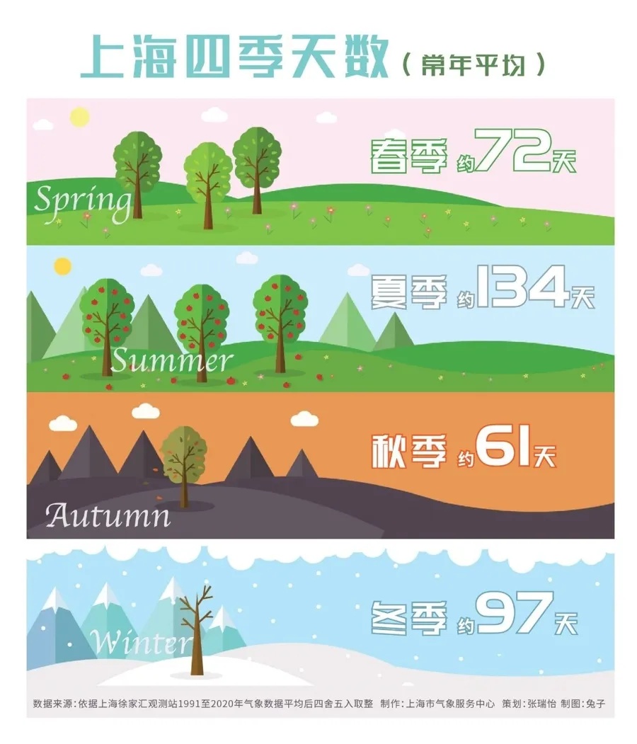 寒露要防暑？上海气温即将反扑！植物开始反季开花