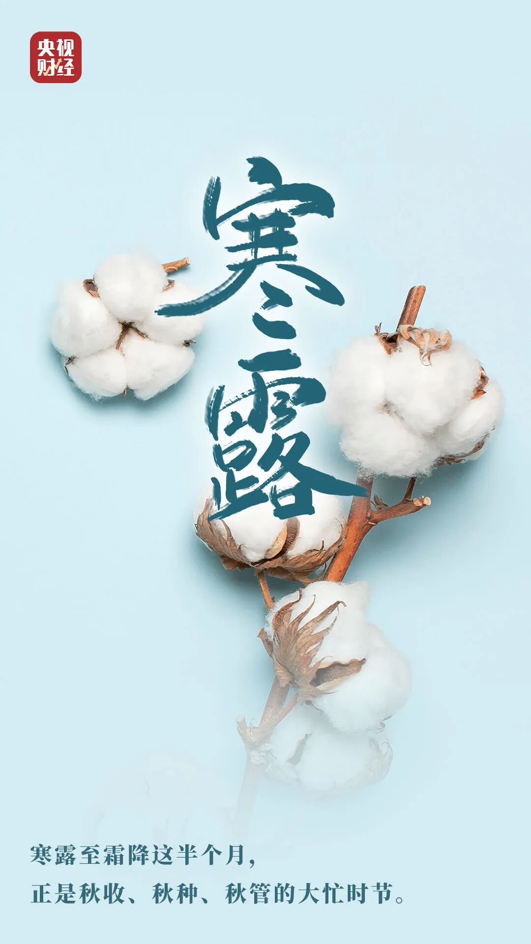 第一个带“寒”的节气来了!这“四不五要”,很重要→ 第一个带“寒”的节气来了!这“四不五要”,很重要→