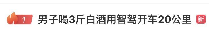 男子喝3斤白酒用智驾开车20公里，停在高速路上睡着了！被判拘役一个月，罚款2000元