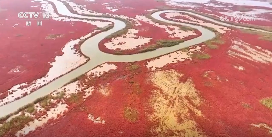露染山河秋意浓，一幅长卷带你看浓墨重彩的秋日美景
