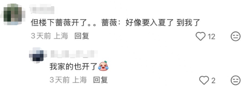 上海今夏已长达150天！气温再度反扑，植物集体“摆烂”…桂花：礼貌吗？
