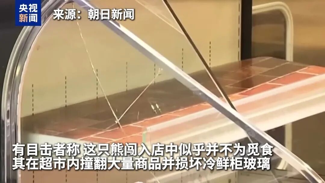 日本两名老人在超市里遇熊出没，被袭受伤