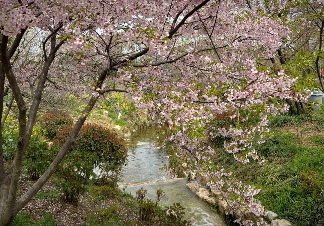 新线开通,凭高铁票享景区优惠 新线开通,凭高铁票享景区优惠