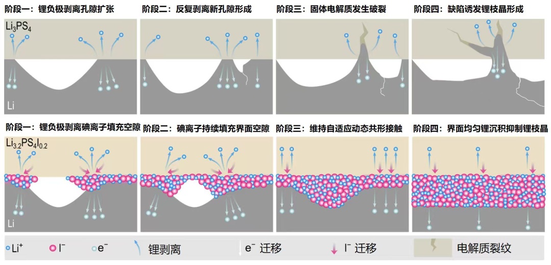 成功开发!我国团队突破锂电池领域关键技术瓶颈 成功开发!我国团队突破锂电池领域关键技术瓶颈
