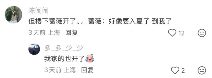 上海：节后气温将冲高至33℃！今夏已长达150天，玉兰蔷薇樱花荷花全开了……