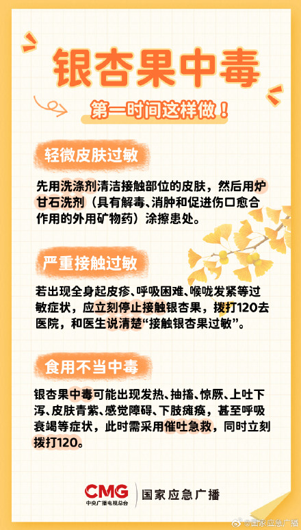 有毒！路边这种小果子不能捡