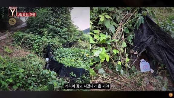 韩国25岁女主播被榜一大哥杀害,抛尸深山,详情披露→ 韩国25岁女主播被榜一大哥杀害,抛尸深山,详情披露→