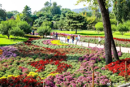 国庆中秋长假,北京公园迎客超1382万人次 国庆中秋长假,北京公园迎客超1382万人次