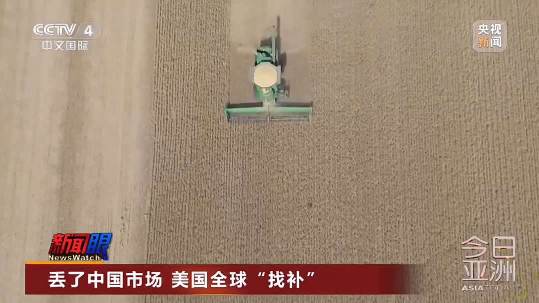 “中国一粒没买”！美国全球“找买家”