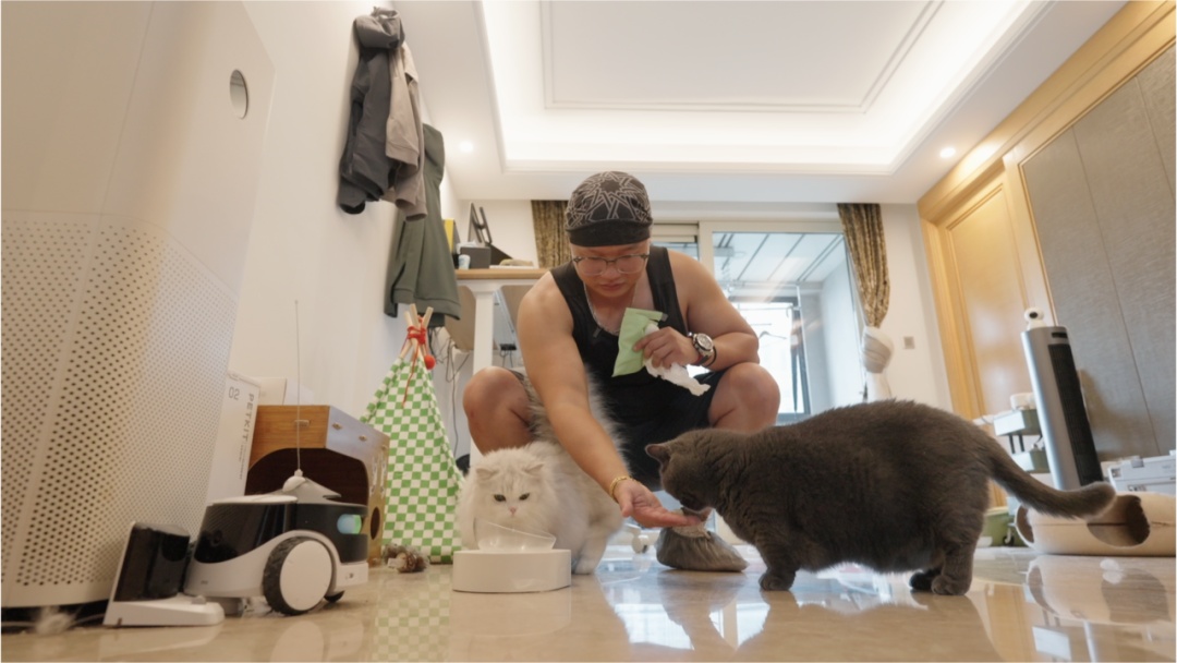 国庆上门喂猫，入账近3万元！“9天上门喂猫收8100元”是真的吗？体验宠物托管师的一天