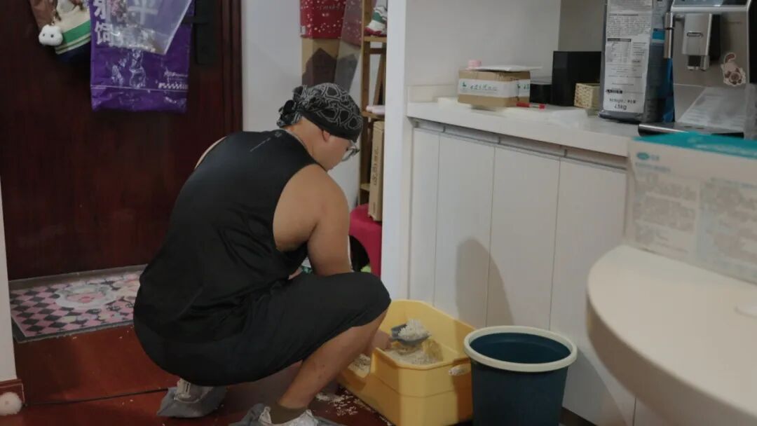 国庆上门喂猫，入账近3万元！“9天上门喂猫收8100元”是真的吗？体验宠物托管师的一天