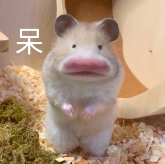 河心，他成了自己的“浮标”！3个致命错误