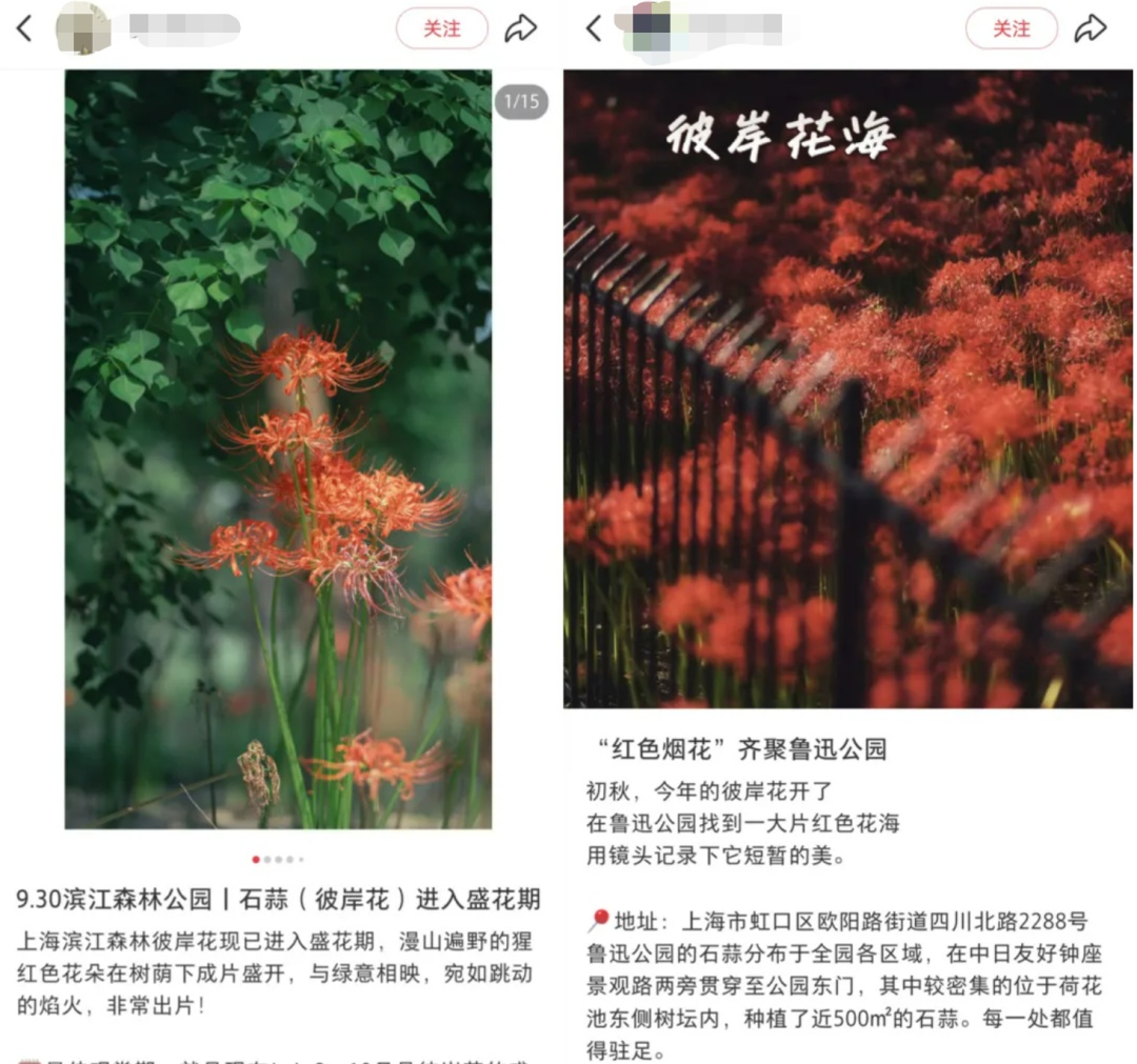 紧急提醒：有毒，别碰！上海正大量出现，虽然美丽却实在危险→