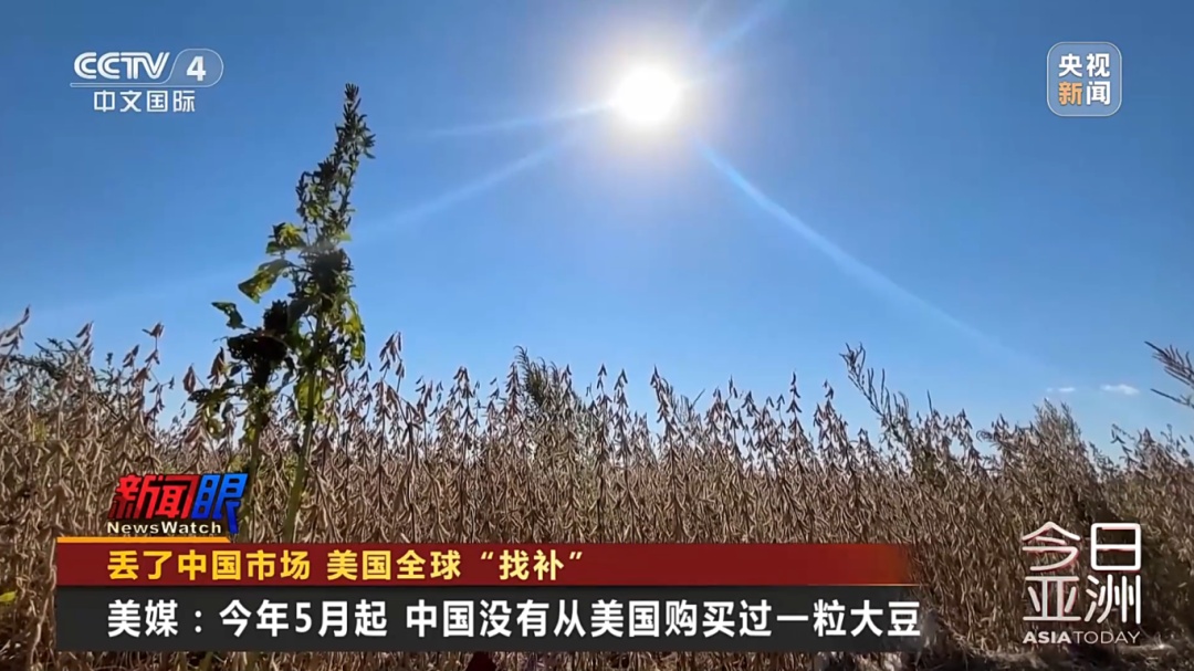 “中国一粒没买”！美国全球“找买家”