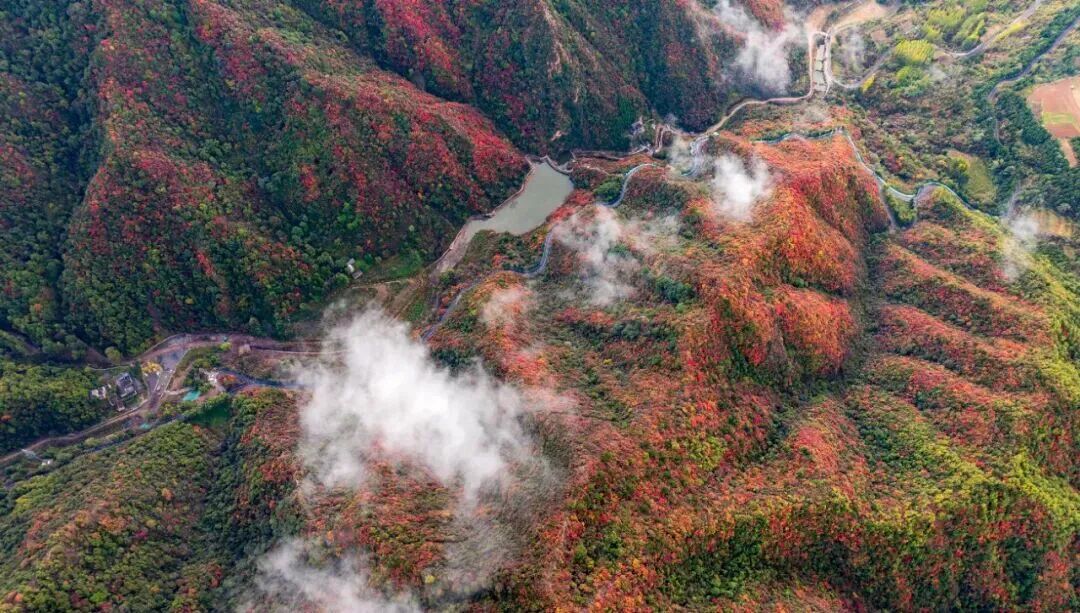 假期没玩够？河南多家景区推出“免费重游”福利！