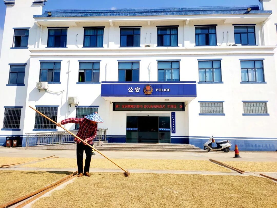 不怕偷，还帮收！派出所、交警大院又铺满了