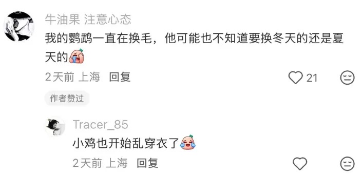 确认了！上海天气即将转折，降温+降雨！10月还和蚊子大战？桂花刷新“最晚”纪录