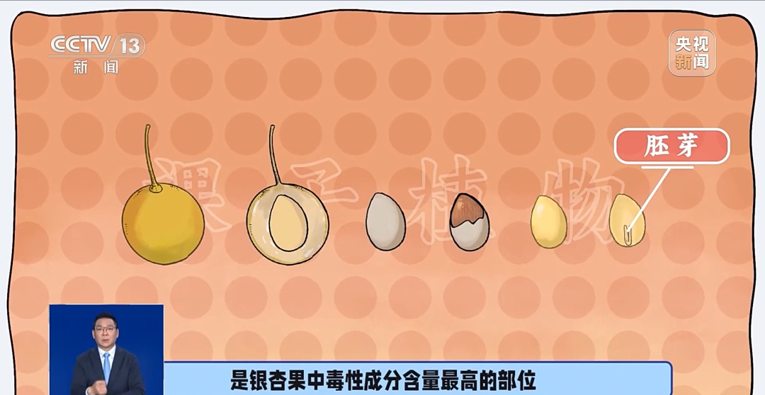 别捡,别吃,有毒!多地街头已出现 别捡,别吃,有毒!多地街头已出现