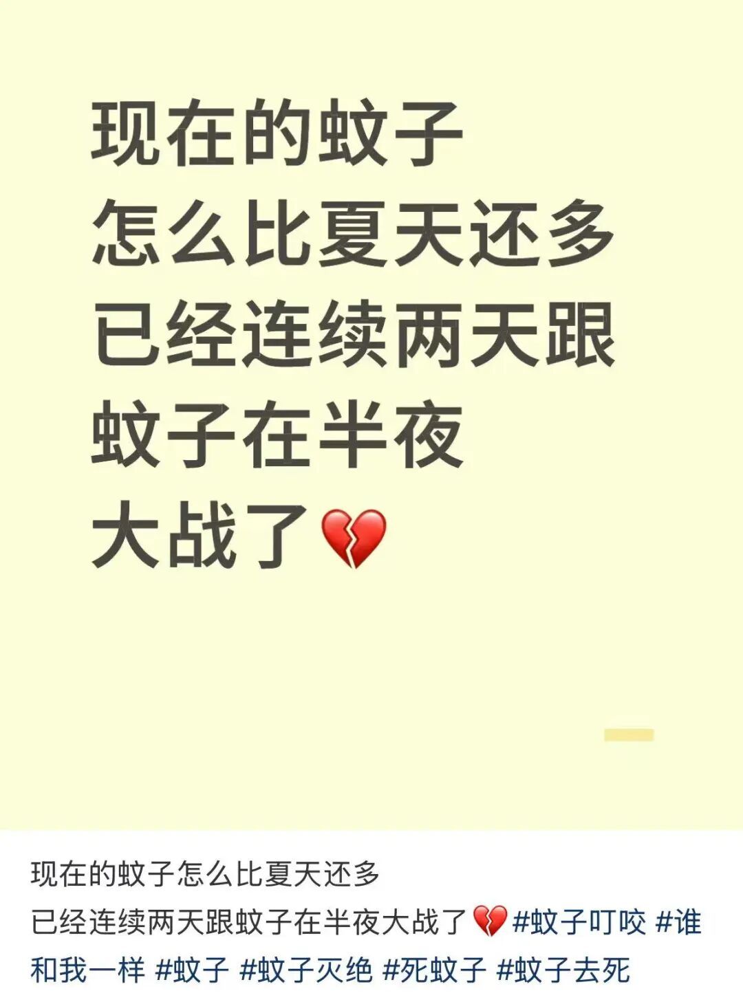 确认了！上海天气即将转折，降温+降雨！10月还和蚊子大战？桂花刷新“最晚”纪录